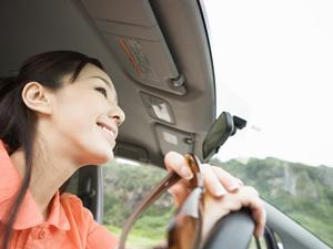 裏起毛カーカバーはなら傷がつきません