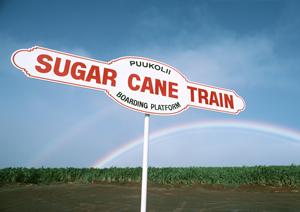 手厚いサポートの稲沢市のカーリース